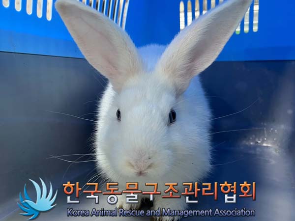 한국동물구조관리협회_411301202400343